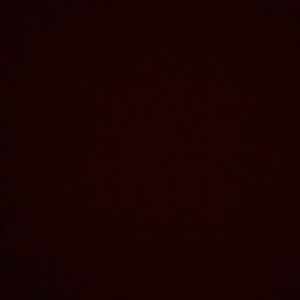 Meet your Posher, Eva